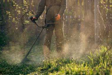 Çim biçme makinesiyle çimleri biçmek. Bahçe işleri konsepti.
