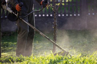 Çim biçme makinesiyle çimleri biçmek. Bahçe işleri konsepti.