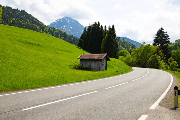 Strada Nelle Alpi Bavaresi Paesaggio Montano Con Prati Verdi Austria — Foto Stock