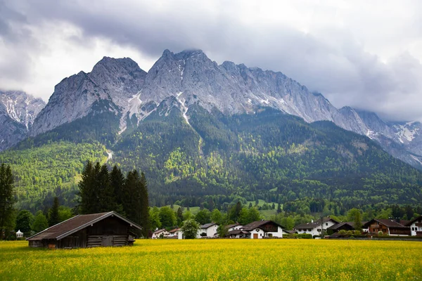 Blick Auf Die Höchste Zugspitze Von Einem Blühenden Feld Frühling — Stockfoto