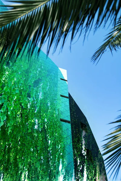 Green city concept - modern building and lush green forest double exposure photo