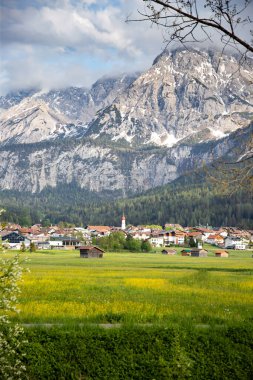 Arkasında Alpler dağları olan Avusturya 'da küçük bir köy..
