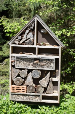 Böcekler için otel - yakın plan fotoğraf. Biyolojik çeşitlilik kavramı.