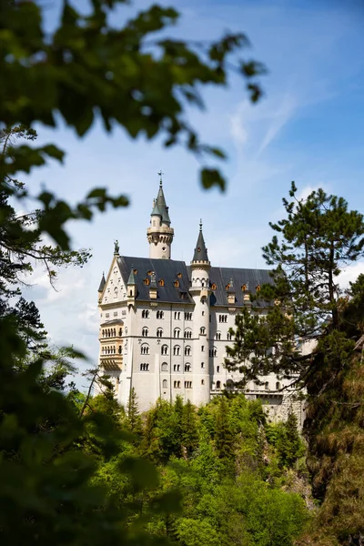 Paisagem Pitoresca Primavera Com Castelo Neuschwanstein Alemanha — Fotografia de Stock