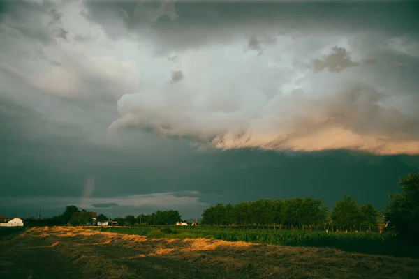 여름철 농지에 폭풍이 몰아치기 고요하다 — 스톡 사진