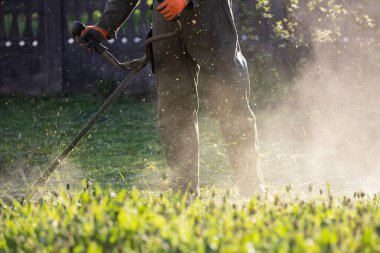 Çim biçme makinesiyle çimleri biçmek. Bahçe işleri konsepti.