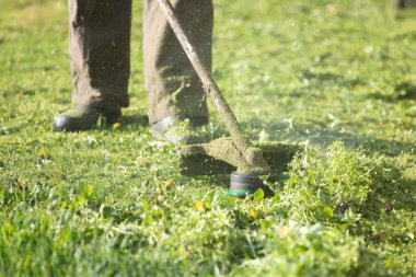 Çim biçme makinesiyle çimleri biçmek. Bahçe işleri konsepti.
