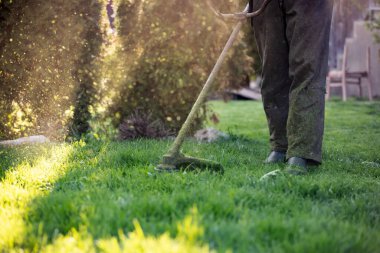 Çim biçme makinesiyle çimleri biçmek. Bahçe işleri konsepti.