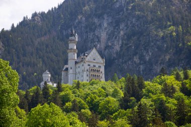 Almanya 'nın Neuschwanstein Şatosu ile resim gibi bahar manzarası