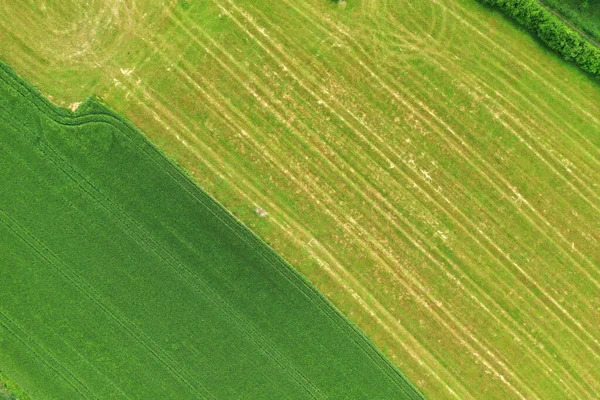 Aerial View Agricultural Fields Natural Grass Texture — Stock Photo, Image