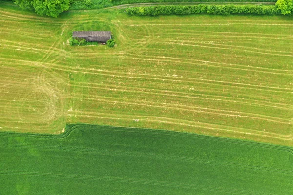 Widok Lotu Ptaka Pola Rolne Naturalna Tekstura Trawy — Zdjęcie stockowe