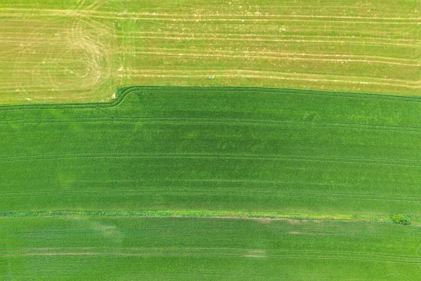 Vista Aérea Los Campos Agrícolas Textura Hierba Natural — Foto de Stock