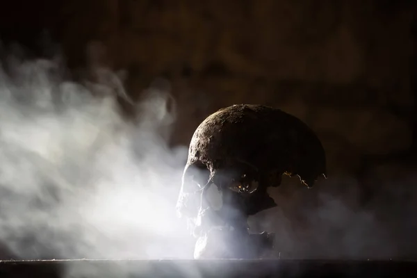 Real Human Skull Mysterious Foggy Light Spooky Horror Wallpaper Halloween — Stock Photo, Image