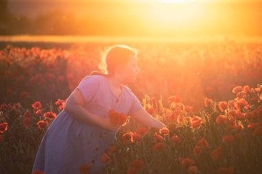 Tatlı küçük kız sihirli günbatımında gelincik tarlasında eğleniyor..