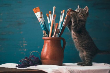 Still life of paint brushes  in clay jug, lavender flowers and a cute kitten on vintage turquoise background