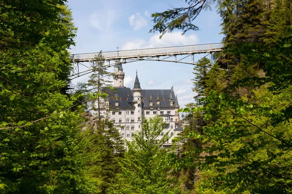 Pintoresco Paisaje Primavera Con Castillo Neuschwanstein Alemania — Foto de Stock