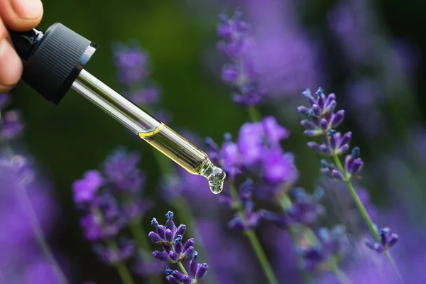 Dropper Lavender Essential Oil Blooming Field Space Text — Fotografia de Stock