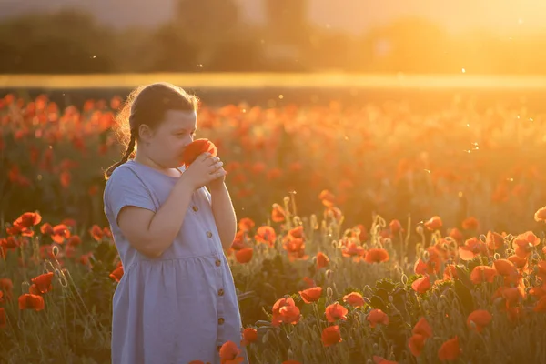 Cute Little Girl Zabawy Polu Maku Magiczny Zachód Słońca — Zdjęcie stockowe