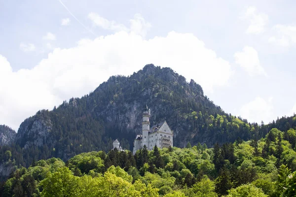 Schilderachtig Voorjaarslandschap Met Kasteel Neuschwanstein Duitsland — Stockfoto