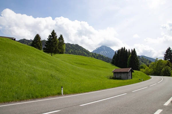 Strada Nelle Alpi Bavaresi Paesaggio Montano Con Prati Verdi Austria — Foto Stock