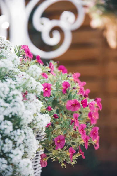Nahaufnahme Auf Einem Korb Mit Blumen Sommergarten — Stockfoto