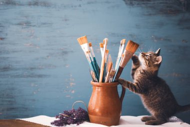 Still life of paint brushes  in clay jug, lavender flowers and a cute kitten on vintage turquoise background