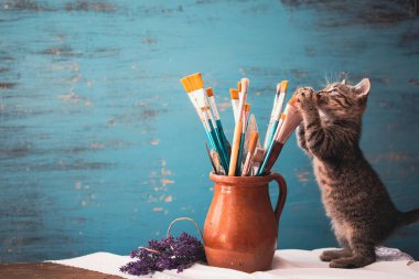 Still life of paint brushes  in clay jug, lavender flowers and a cute kitten on vintage turquoise background