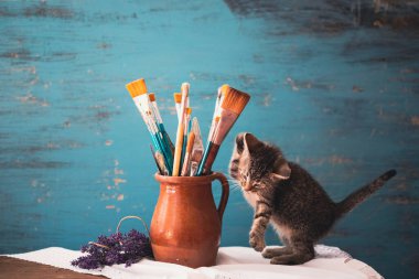 Still life of paint brushes  in clay jug, lavender flowers and a cute kitten on vintage turquoise background