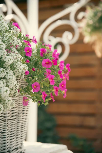Nahaufnahme Auf Einem Korb Mit Blumen Sommergarten — Stockfoto
