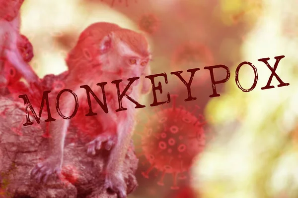 Monkeypox Diseas Outbreak Concept Monkeypox Viral Zoonotic Disease Transmitted Humans — Stock Fotó