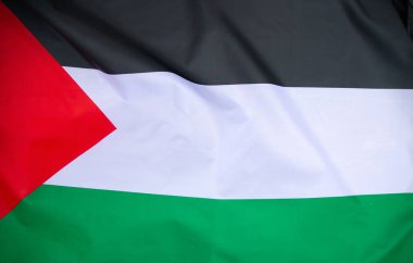 Palestine national flag waving in the wind. International relations concept.