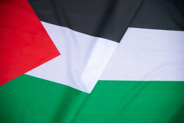 Palestine national flag waving in the wind. International relations concept.