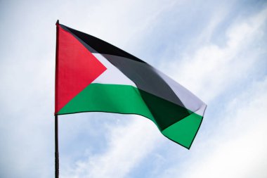 Palestine national flag waving in the wind. International relations concept.