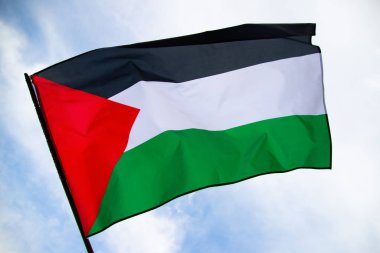Palestine national flag waving in the wind. International relations concept.