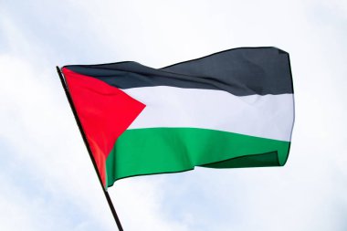 Palestine national flag waving in the wind. International relations concept.