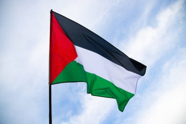 Palestine national flag waving in the wind. International relations concept.