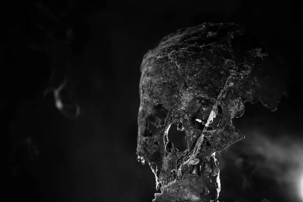 Echter Menschlicher Schädel Geheimnisvollem Nebligem Licht Gruselige Gruseltapete Für Halloween — Stockfoto