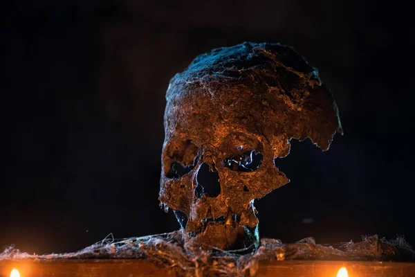 真正的人类头骨在神秘的雾蒙蒙的光线中可怕的万圣节壁纸 — 图库照片