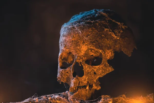 Prawdziwa Ludzka Czaszka Tajemniczym Mglistym Świetle Straszna Przerażająca Tapeta Halloween — Zdjęcie stockowe