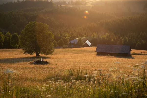 Beautiful Summer Meadow Small Wooden House Magic Sunset — Stockfoto