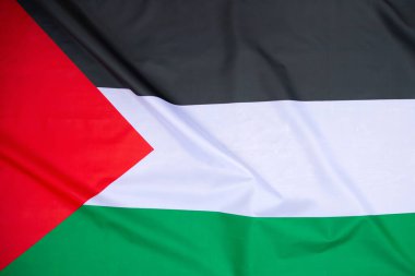 Palestine national flag waving in the wind. International relations concept.