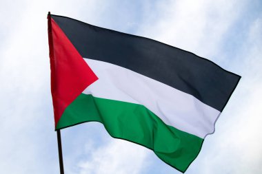 Palestine national flag waving in the wind. International relations concept.