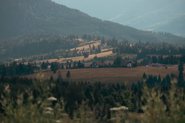 Magic Summer Sunset Mountain Village Tihuta Piatra Fantanele Bistrita Romania — Stockfoto