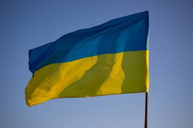Detail of the national flag of Ukraine waving in the wind on a clear day. Democracy and politics. 