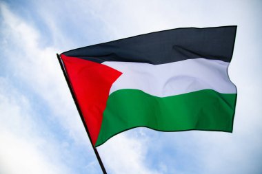 Palestine national flag waving in the wind. International relations concept.