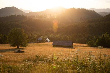 Beautiful summer meadow and small wooden house in magic sunset
