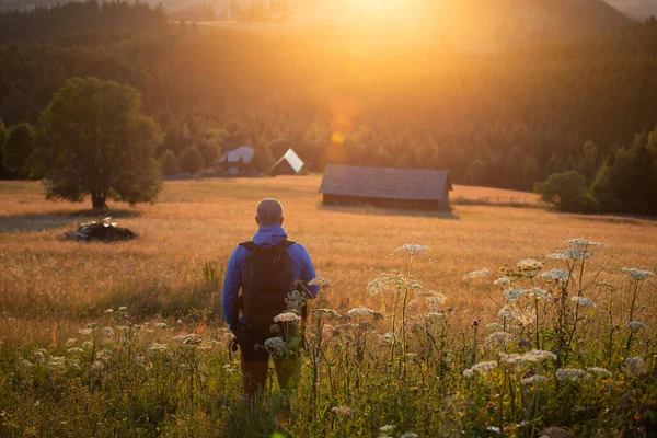 Male Hiker Summer Meadow Looking Magic Sunset Hills Relaxation Nature — 스톡 사진