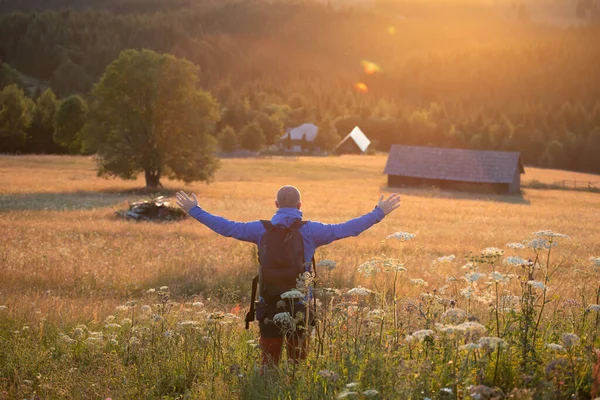 Male Hiker Summer Meadow Looking Magic Sunset Hills Relaxation Nature — 스톡 사진