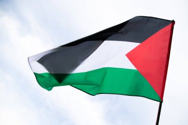 Palestine national flag waving in the wind. International relations concept.