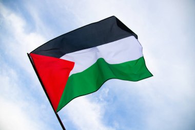 Palestine national flag waving in the wind. International relations concept.